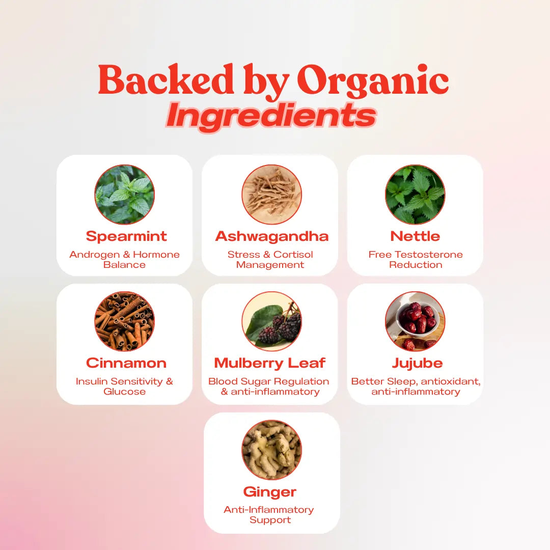 Organic herbal ingredients in Baïa PCOS tea including spearmint and cinnamon