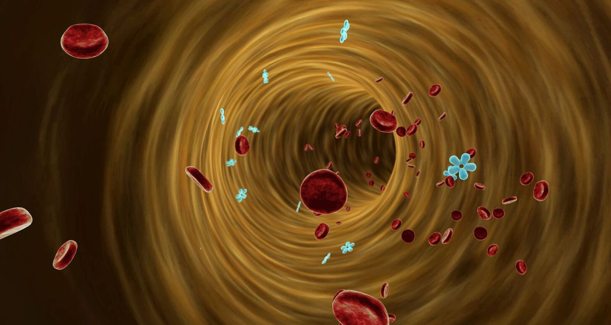 The Silent Enemy of PCOS: 3 Natural Pillars to Manage Insulin Resistance - Baïa Wellness