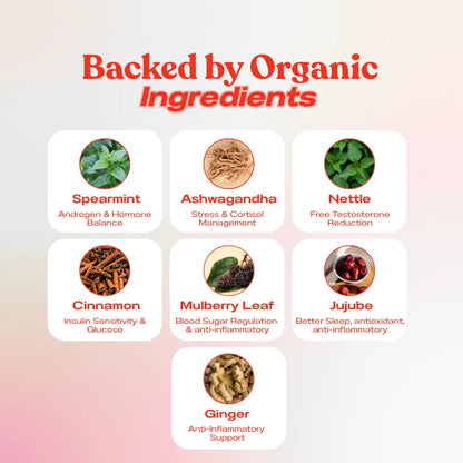 Organic herbal ingredients in Baïa PCOS tea including spearmint and cinnamon